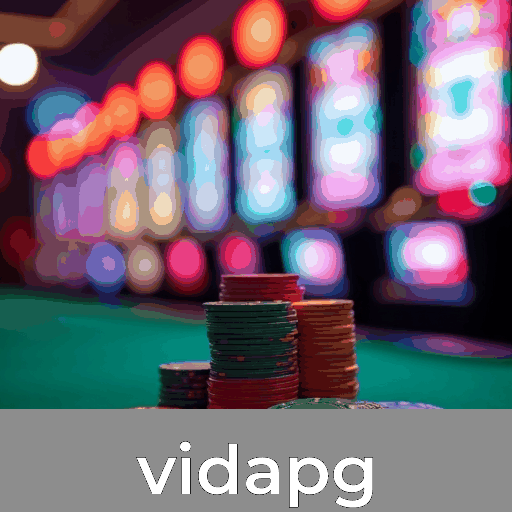Aproveite o Acesso Exclusivo e Seguro no vidapg